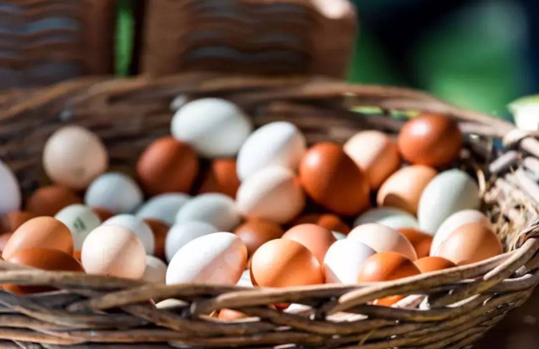 Beyaz mı kahverengi mi? Hangi yumurta daha sağlıklı? 34